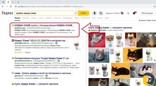 Оптимизация сайта сео, Продвижение сайта Дербент