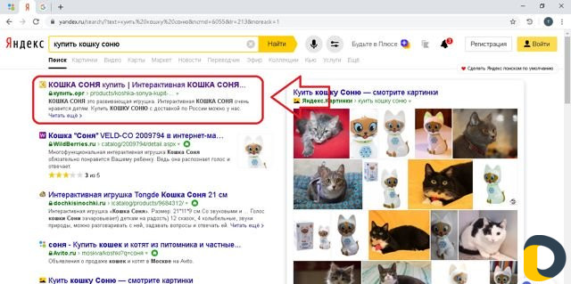 Оптимизация сайта сео, Продвижение сайта Махачкала