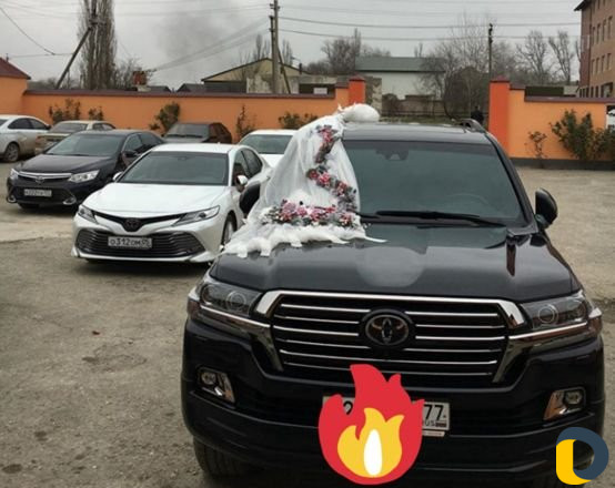 Организация свадеб