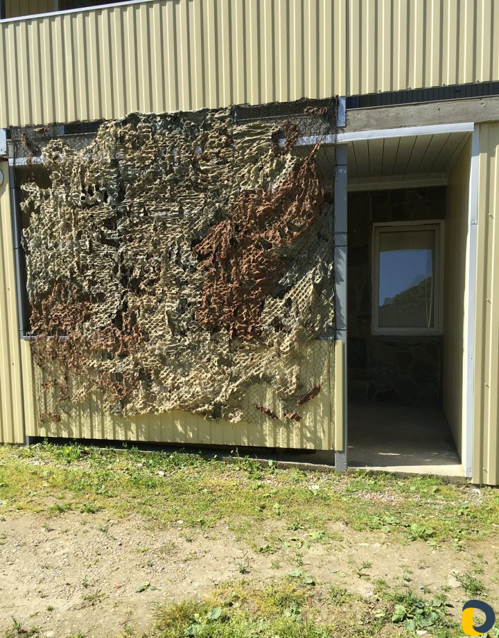 Отдых на черном море