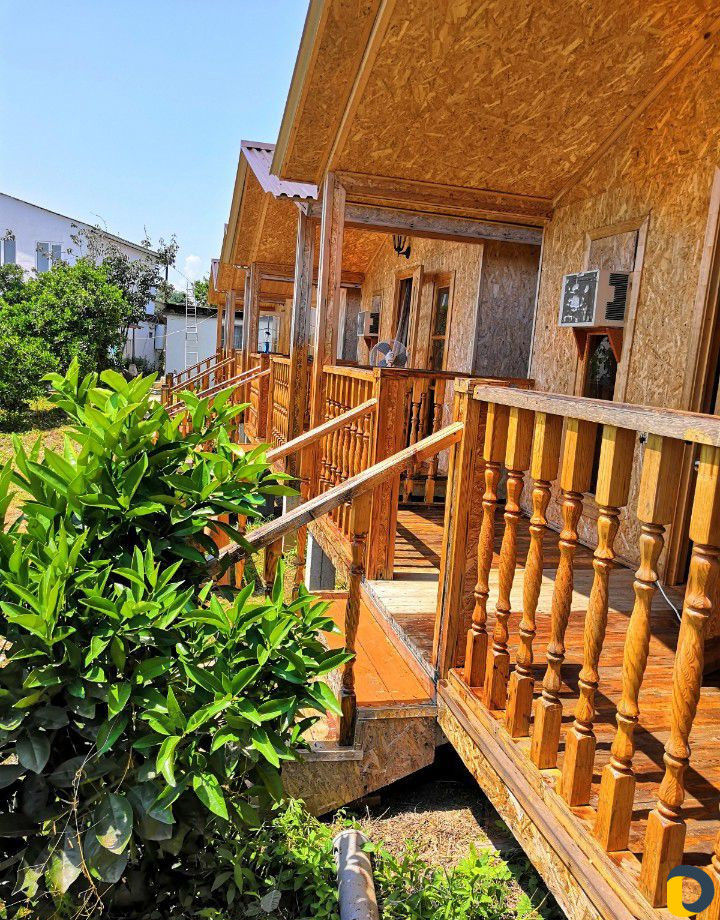 Отдых в Абхазии