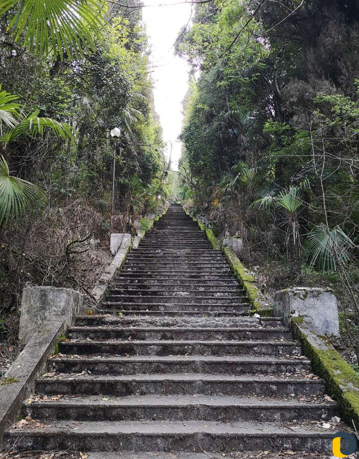 Отдых в Сочи под ключ