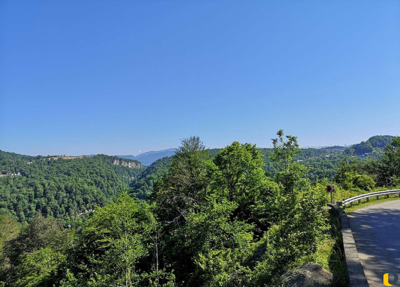 Отдых в Сочи под ключ