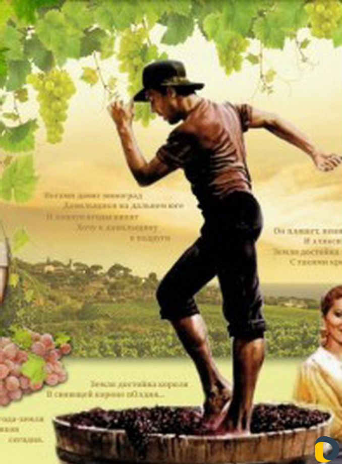 Отжим сока из фруктов и овощей