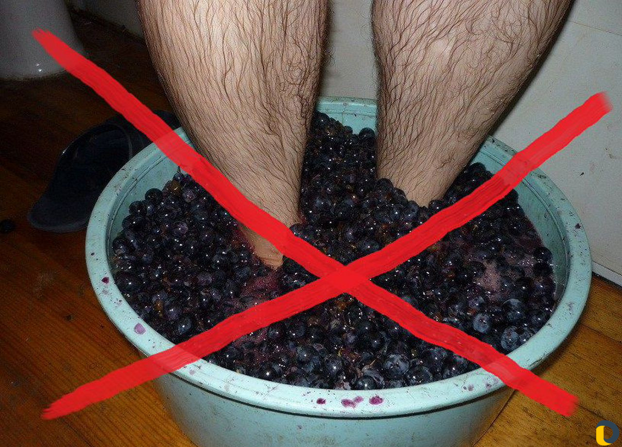 Отжим сока из фруктов и овощей