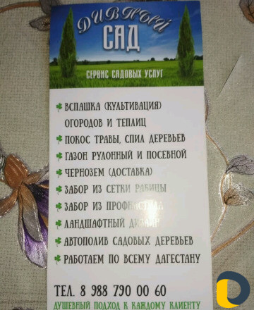 Озеленение газон