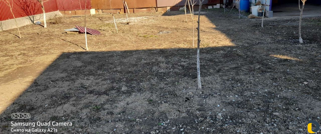 Пахата с мотоблоком