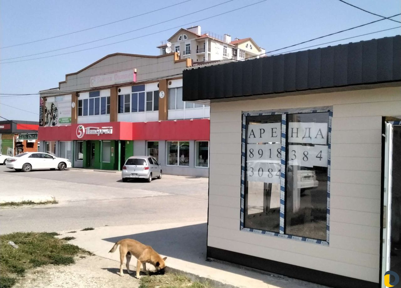 Парикмахерская и другие услуги деятельности