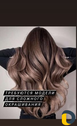 Парикмахерские