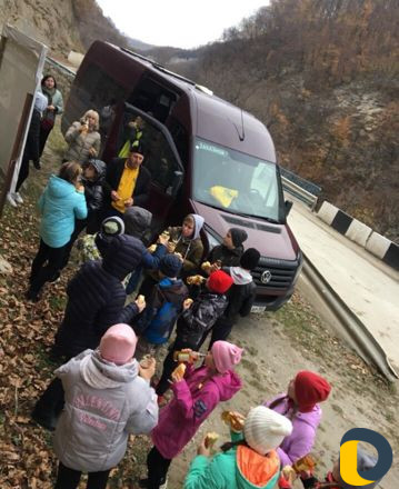 Пассажирские перевозки