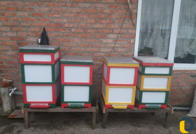 Пчело улики Дадан Рут