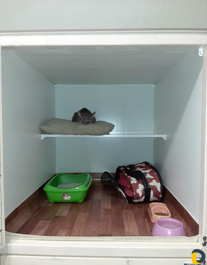 Передержка для кошек Le Shats