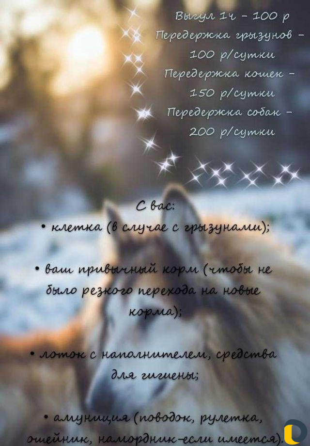 Передержка и выгул питомцев