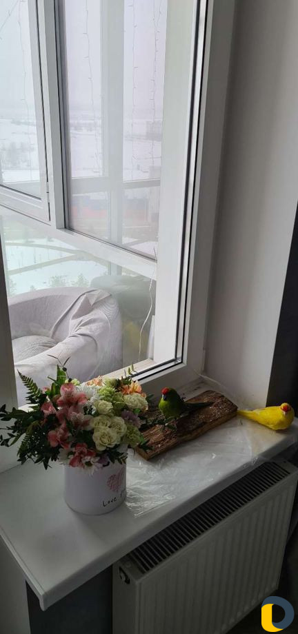 Передержка Попугаев или птиц