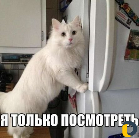 Передержка