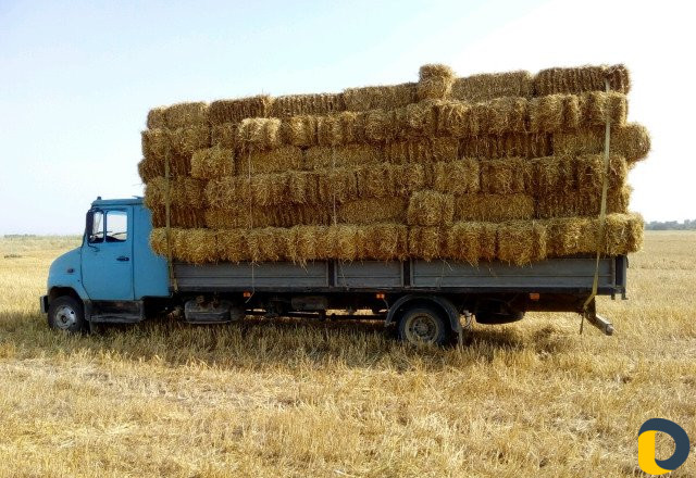 Перевозка грузов до 5 тонн 6,30 кузов