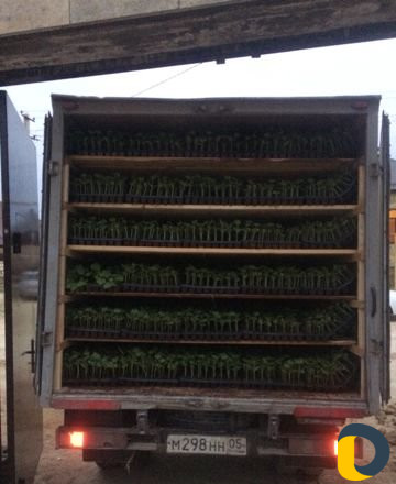 Перевозка грузов на газеле от