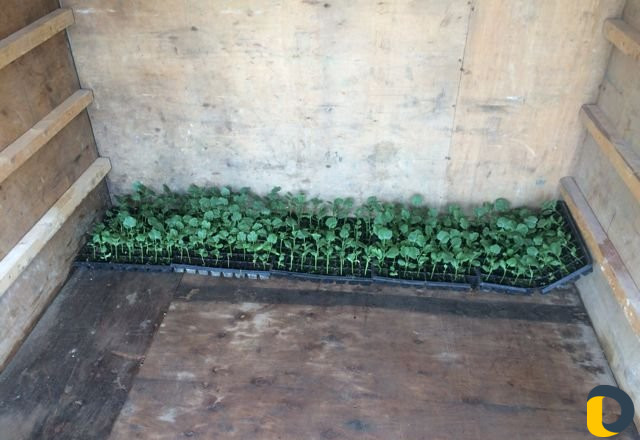 Перевозка грузов на газеле от