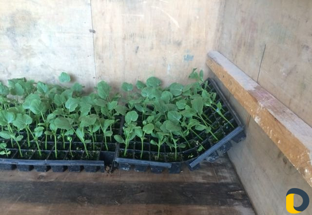 Перевозка грузов на газеле от