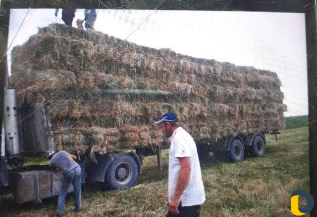 Перевозка грузов