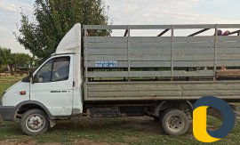 Перевозка грузов