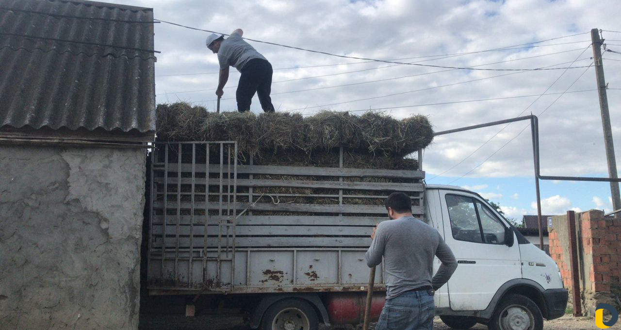 Перевозка грузов