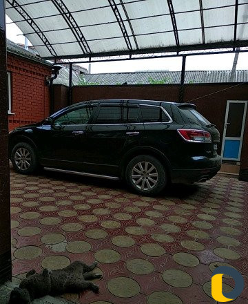 Перевозка пассажиров