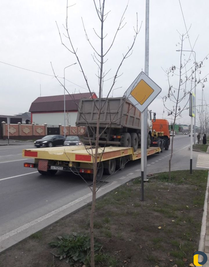 Перевозка спецтехники