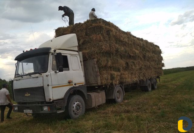 Перевозка