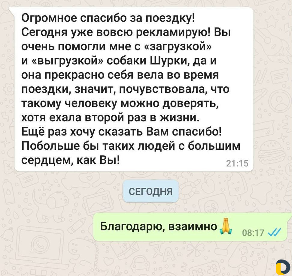 Перевозка животных, Зоотакси, Краснодар и Россия