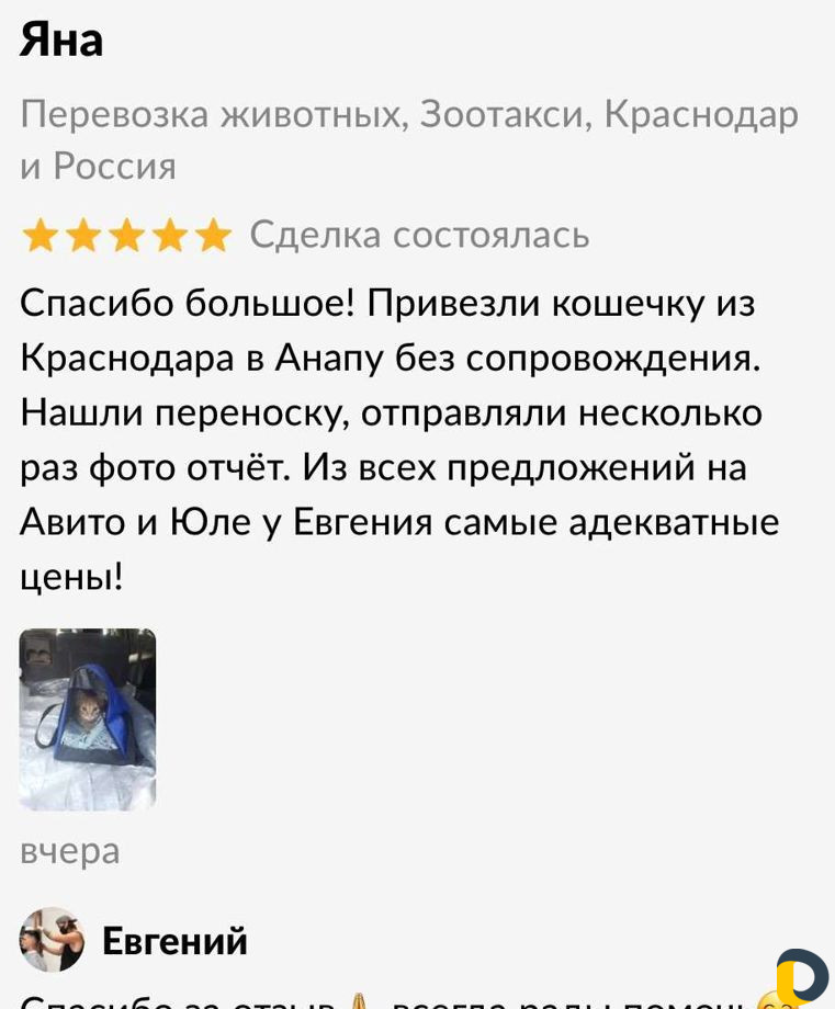 Перевозка животных, Зоотакси, Краснодар и Россия