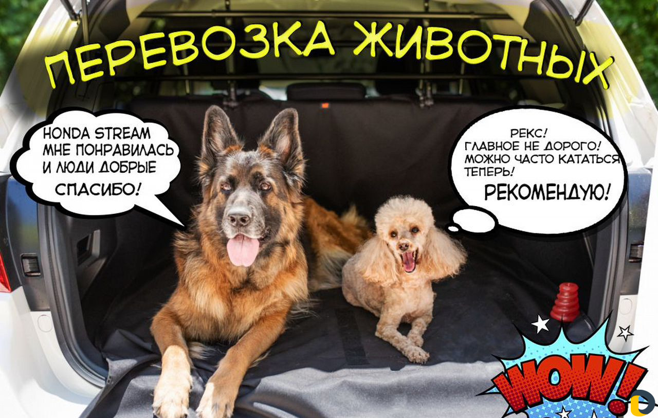 Перевозка животных, Зоотакси, Краснодар и Россия