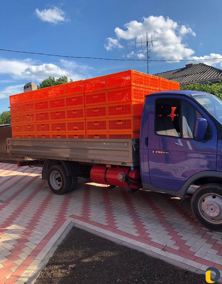 Перевозка живой птицы