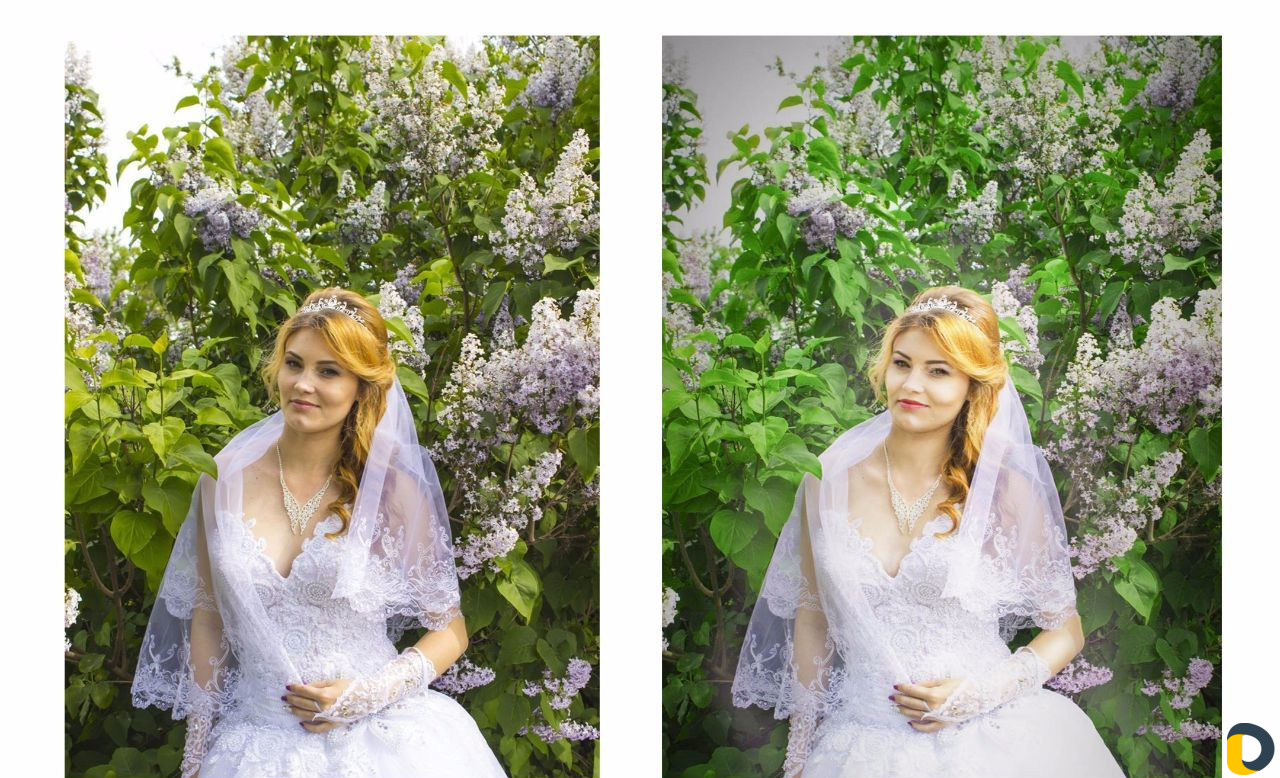Photoshop, редактор фотографий, фотошоп мастер