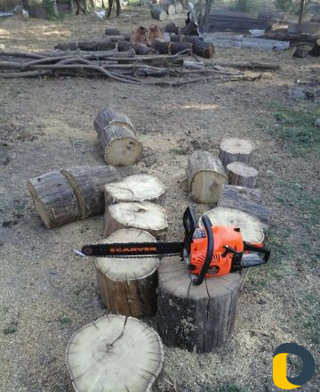 Пилим деревья