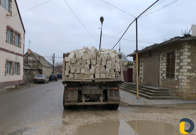 Пилобут