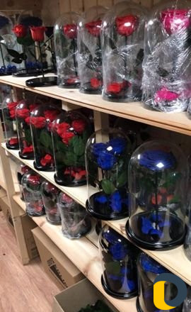 Подарочные розы в колбе