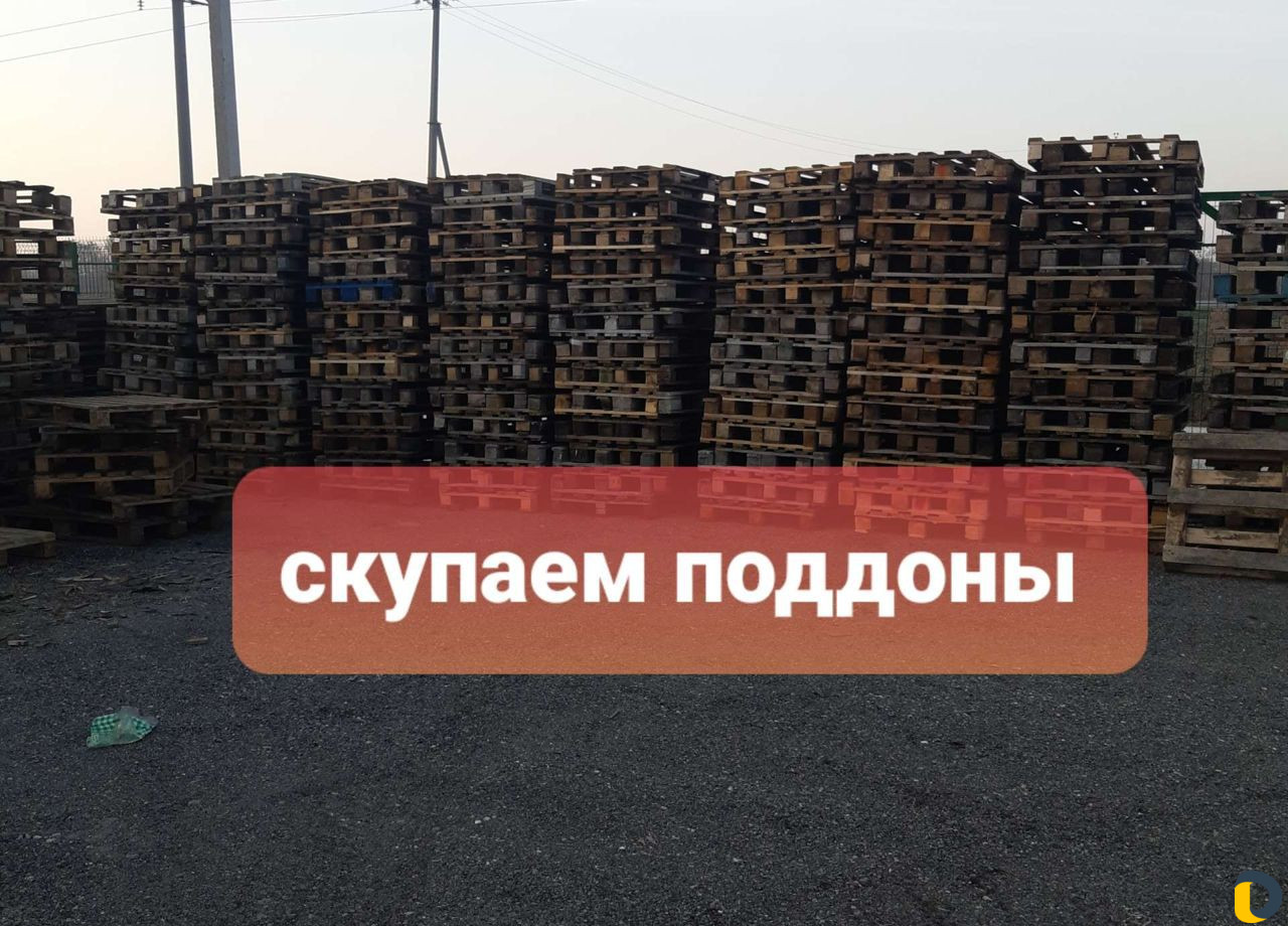 Поддоны