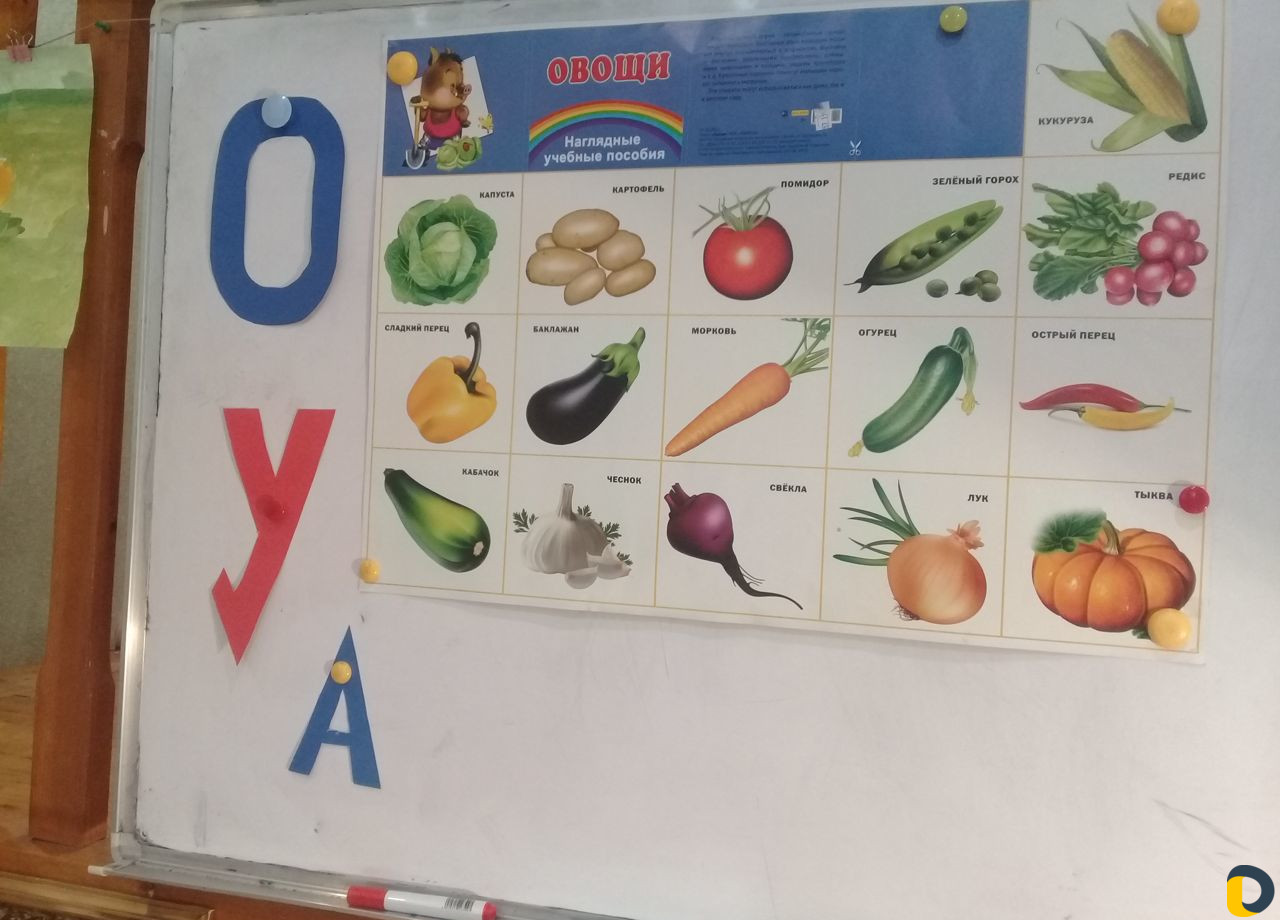 Подготовка к школе и семейное обучение