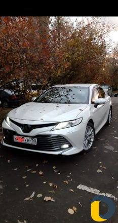 Поездки на мероприятия, загородные поездки