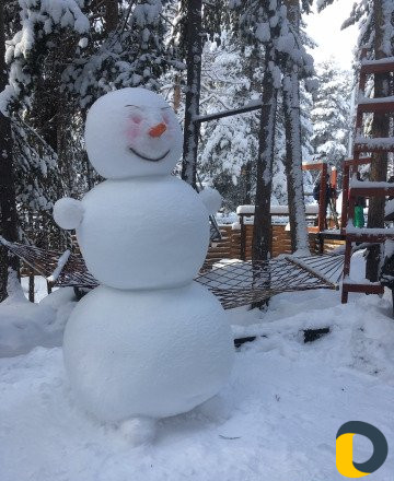 Поездки