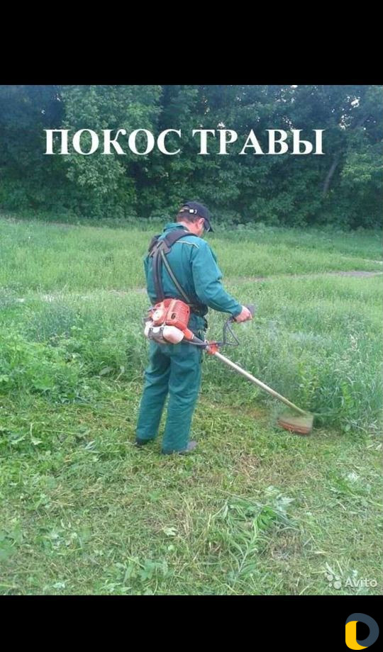 Покасить траву