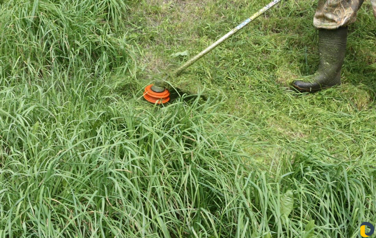 Покос сорной травы, спил деревьев, вспашка земли