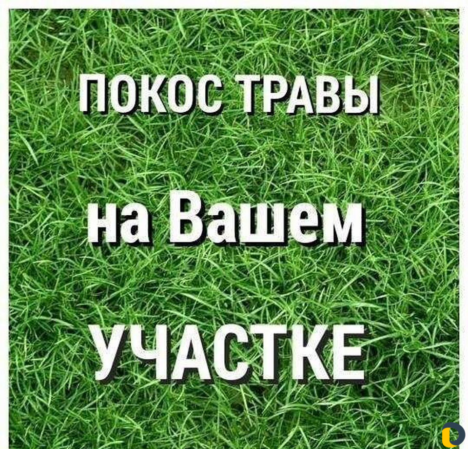 Покос сорной травы, спил деревьев, вспашка земли