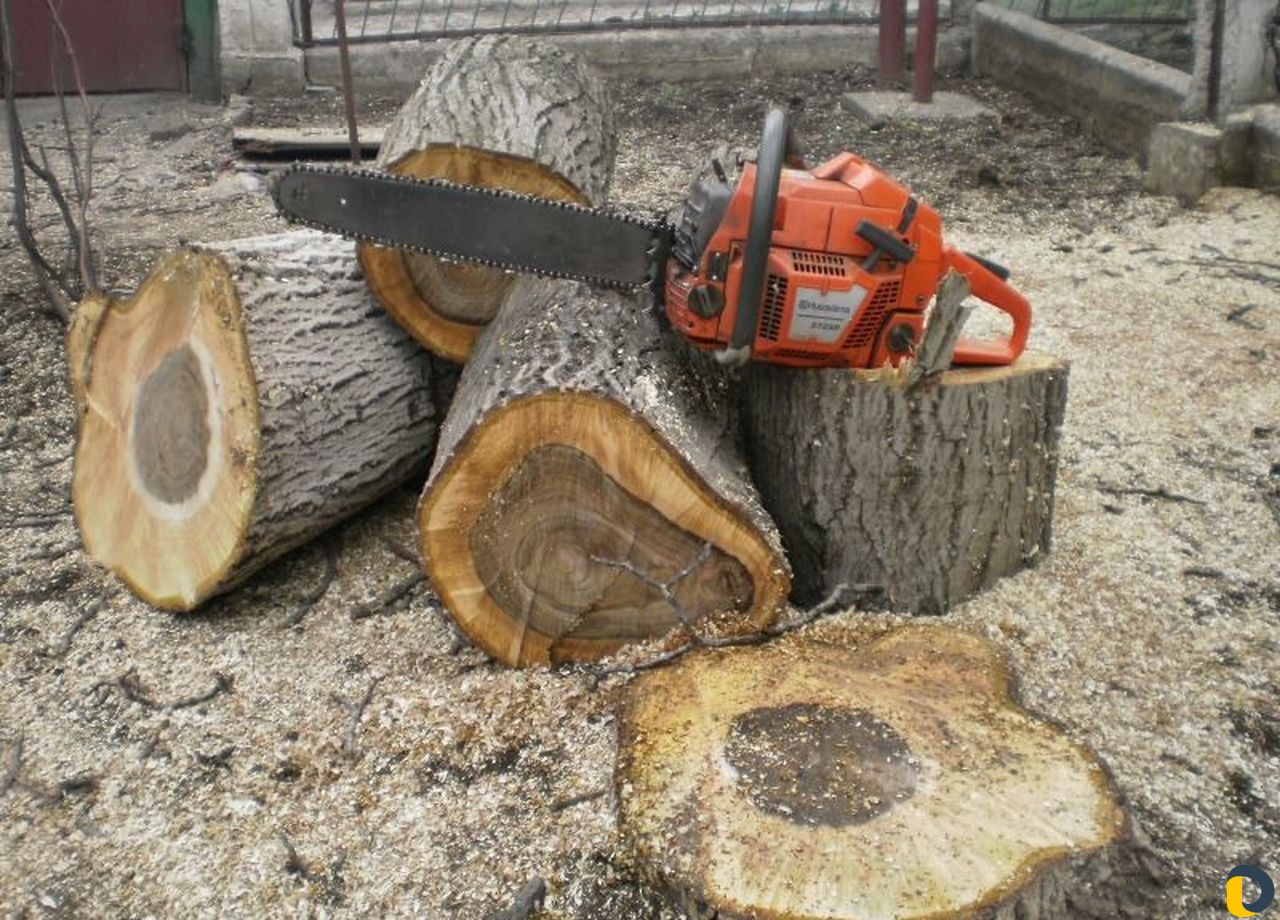 Покос сорной травы, спил деревьев, вспашка земли