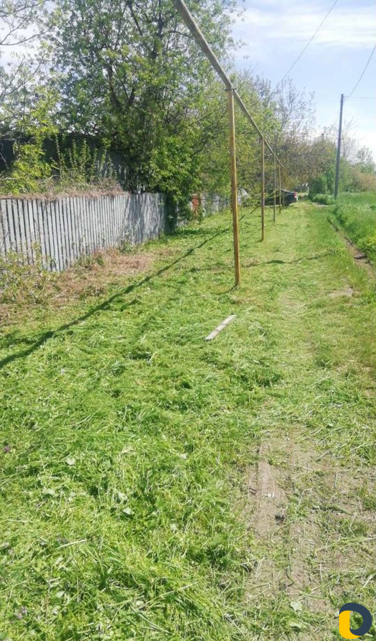 Покос спил деревьев