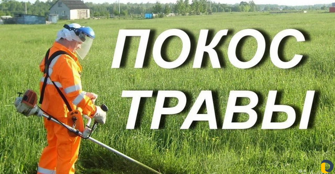 Покос травы Бензокосой. и мелкие работы по участку