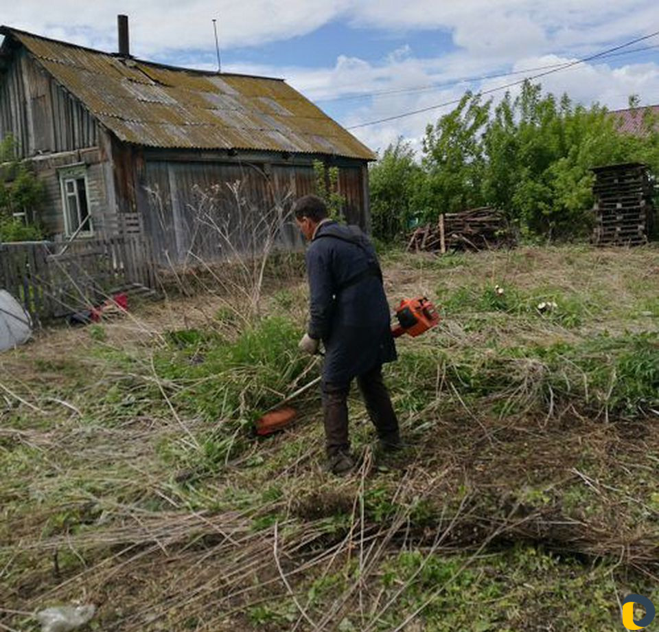 Покос травы бензокосой