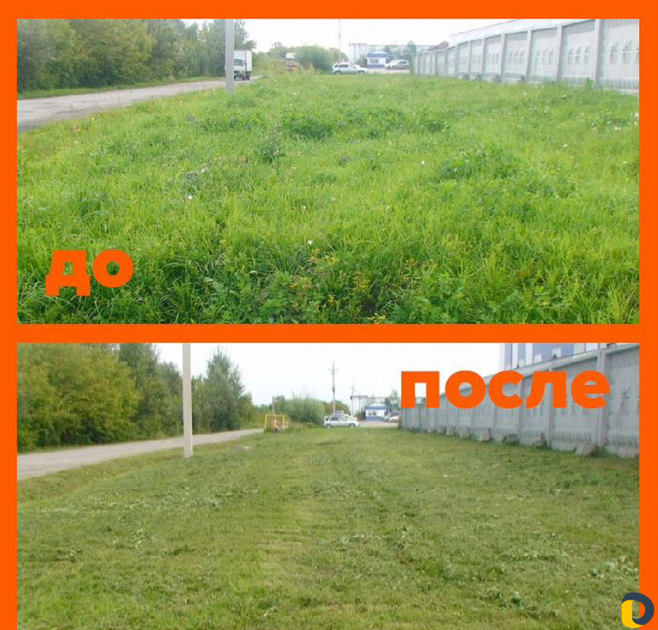 Покос травы, обрезка кустов, благоустройство участ
