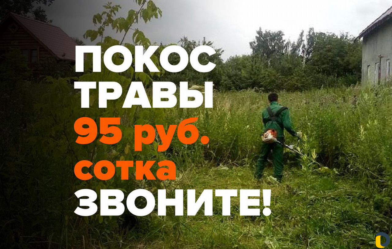Покос травы, обрезка кустов, благоустройство участ